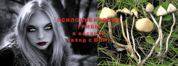 кокс Вяземский