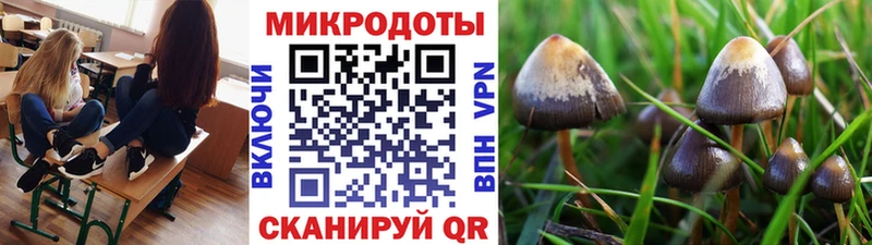 дарнет шоп  Любим  Галлюциногенные грибы Magic Shrooms 